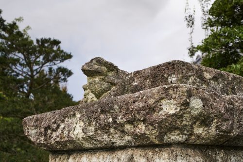 無事カエル｜地下迷宮の秘密を探る旅