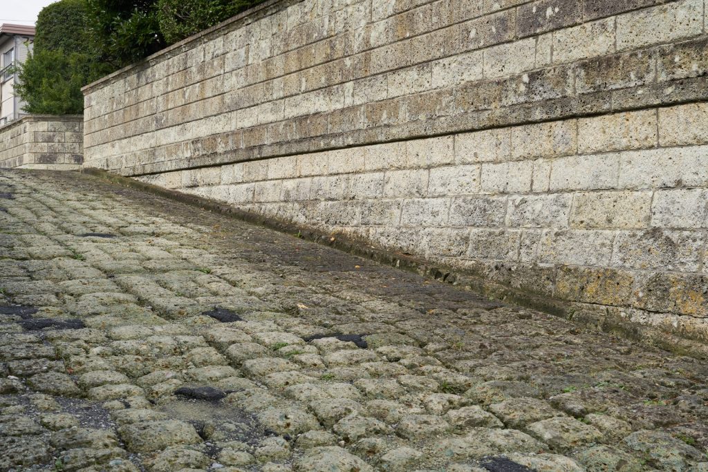 A Hill in Hoshigaoka