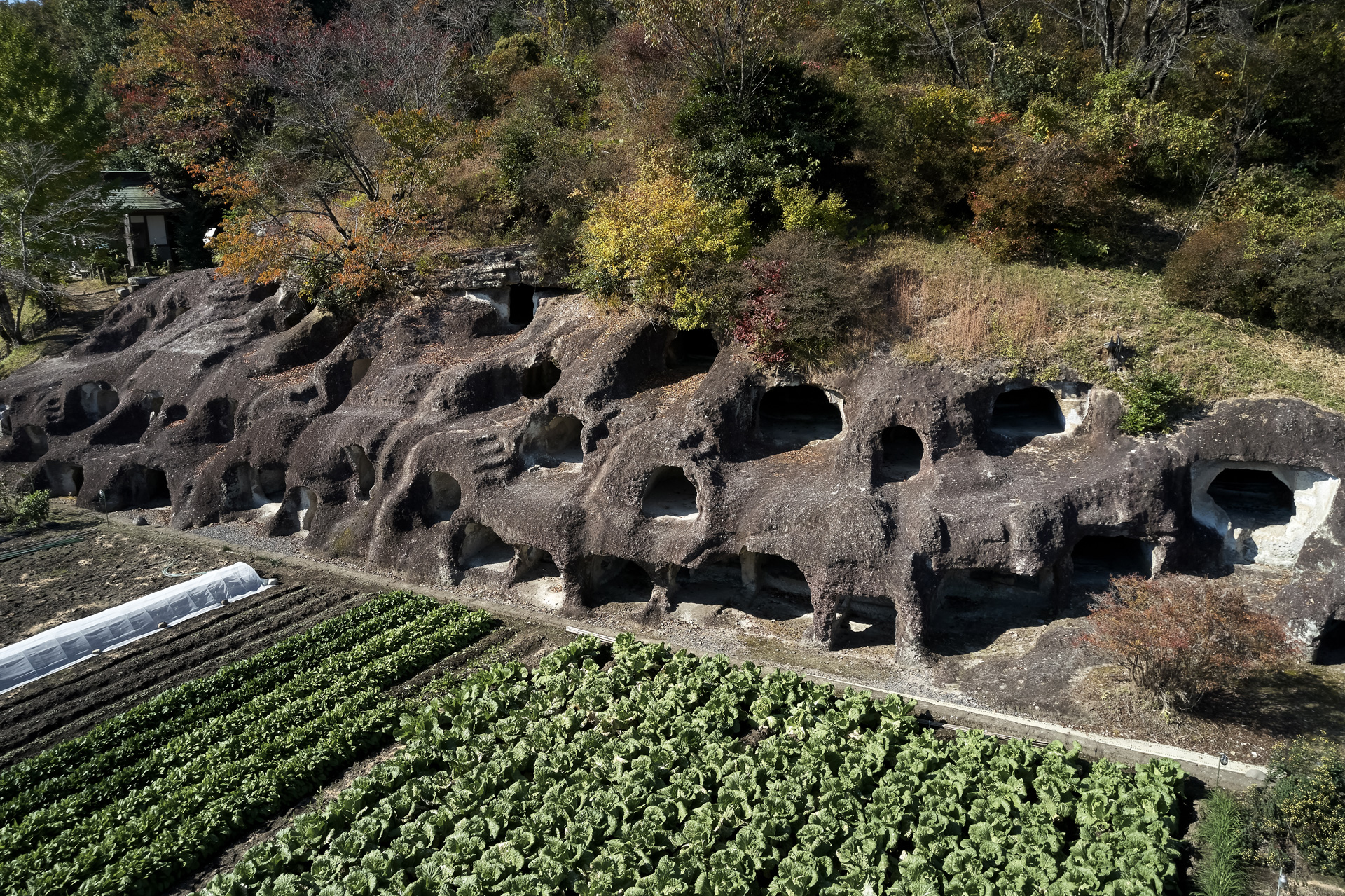 Nagaoka Hyakuana Burial Mound