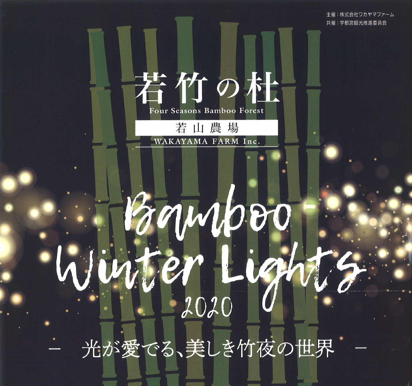 Bamboo Winter Lights 2020 【10/31（土）～2/28（日）】